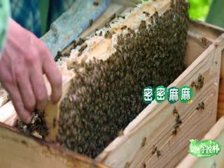 秋日天空～在梦中～