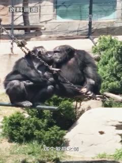 武极天尊2之神界篇