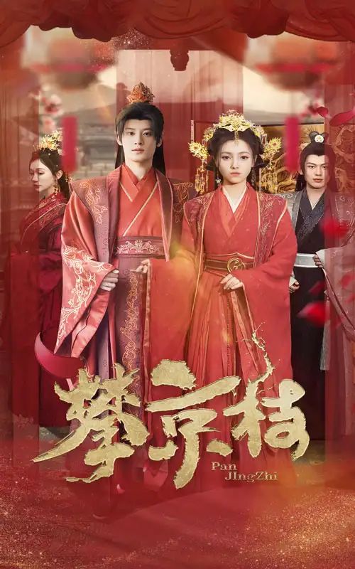 天网：“案”藏玄机