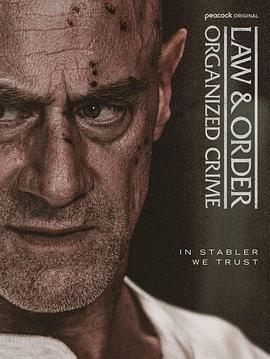 法律与秩序：组织犯罪第5季