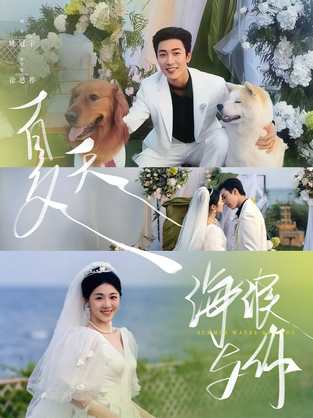 找到爱丽丝第一季