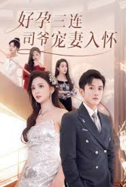 好孕三连司爷宠妻入怀