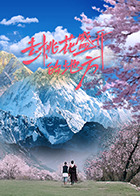 去挑花盛开的地方